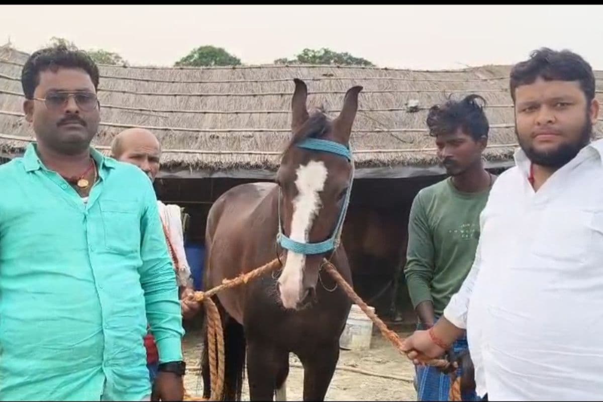 Begusarai News : रघुनाथपुर एक्सप्रेस ने बढ़ाया बेगूसराय का मान, बिहार से यूपी तक गूंजा नाम