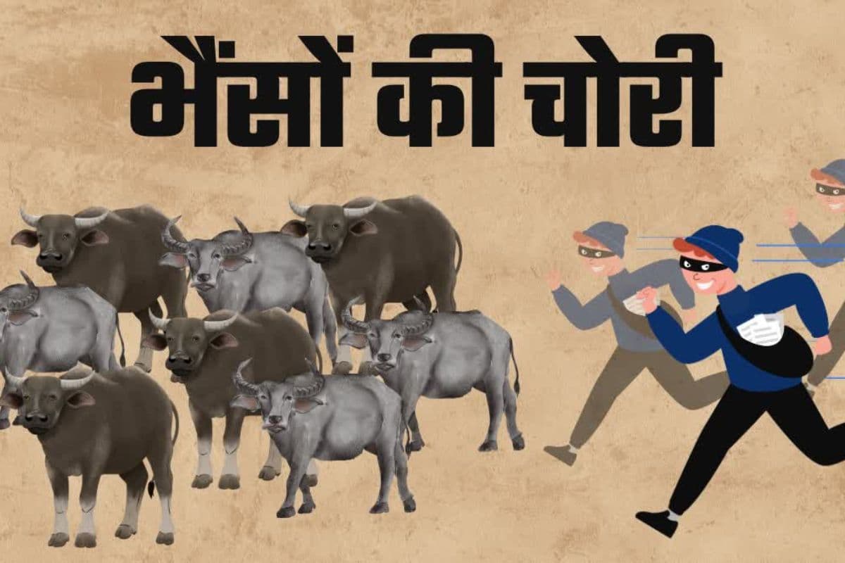 नवादा में चोरी की गई भैंस के साथ तीन आरोपी गिरफ्तार