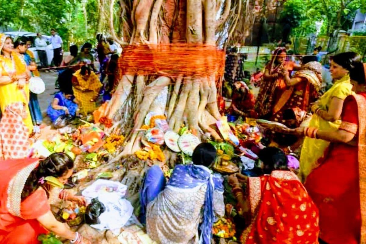 Buxar News : वट सावित्री पूजा के शुभ मौके पर सुहागिनों ने मांगी पति की दीर्घायु