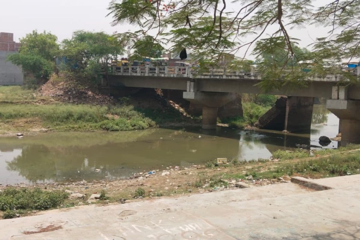 बक्सर में भीषण गर्मी से सूखी नदियां, वन्यजीवों पर संकट गहराया