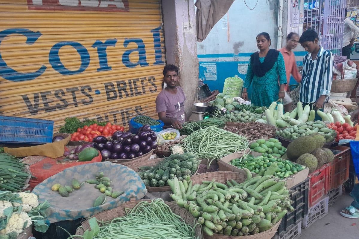 बिहारशरीफ के बाजारों में हरी सब्जियों की कीमतें घटी, किसानों को लागत मूल्य भी नहीं मिल रहा
