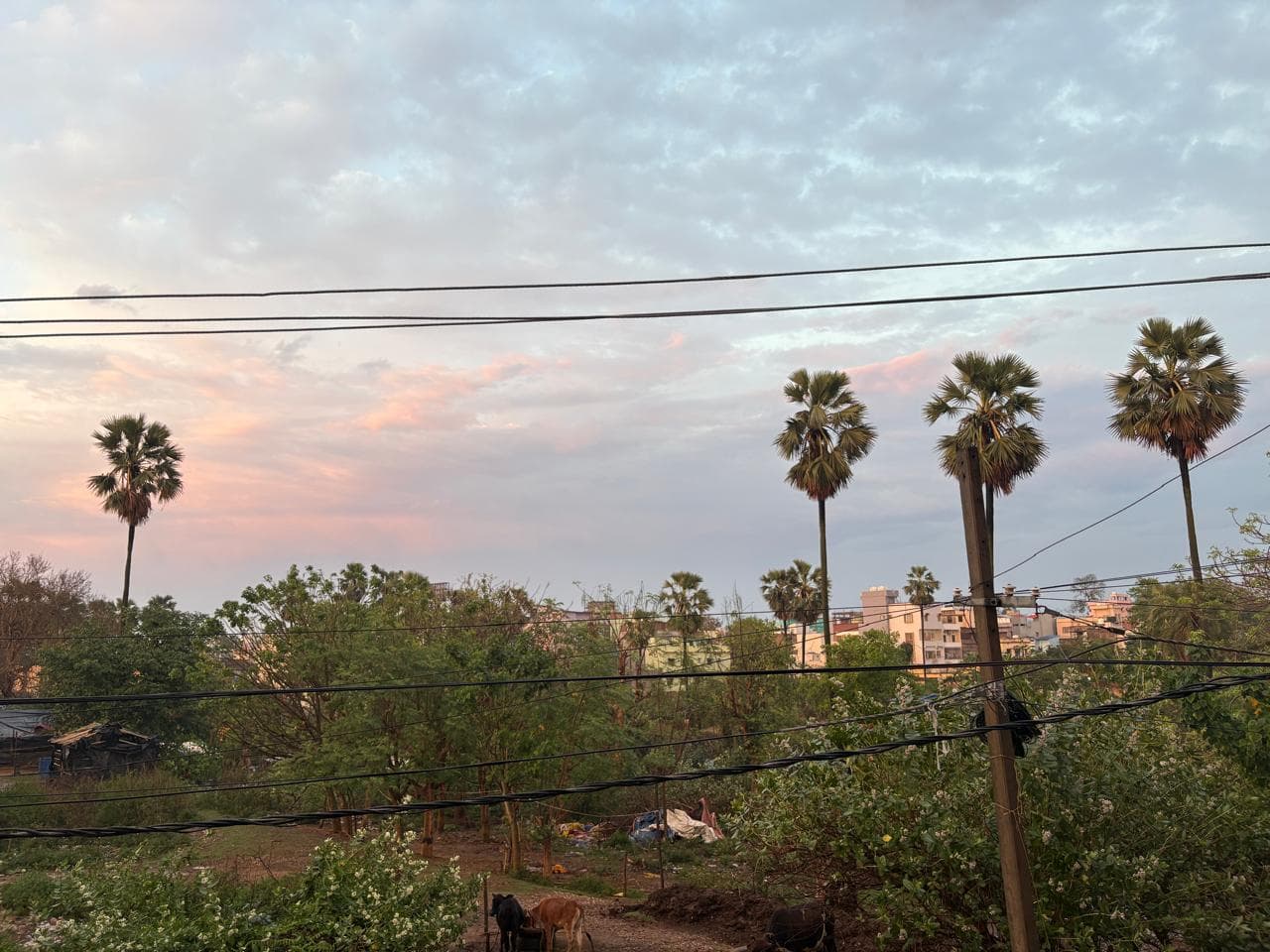 मधेपुरा में आज मौसम रहेगा सुहाना, सुबह से आसमान में दिखेंगे बादल