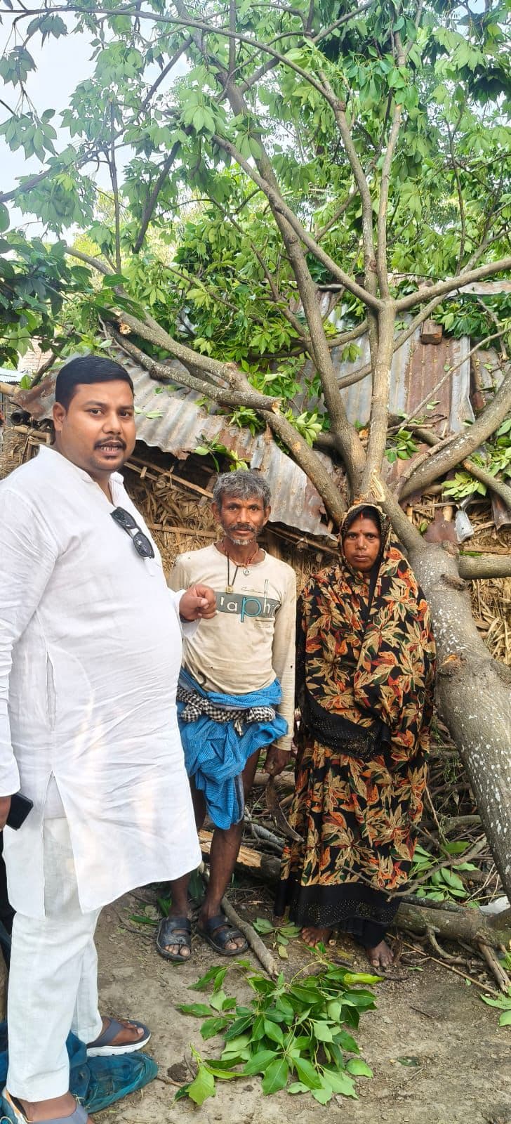 तेज हवा में घर पर गिरा विशाल पेड़: बड़ा हादसा टला, मकान क्षतिग्रस्त