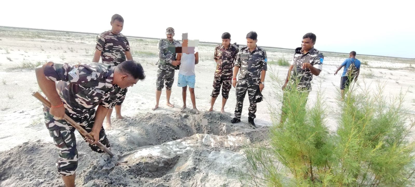 भारत-नेपाल सीमा पर एसएसबी की कार्रवाई, 80 किलो गांजा बरामद, एक तस्कर गिरफ्तार