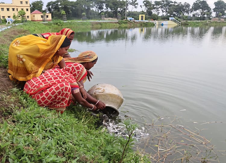 मछली पालन से जीविका दीदियों को मिल रहा बेहतर आय का जरिया, बढ़ रही आत्मनिर्भरता