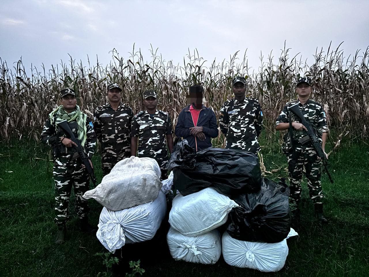 भारत-नेपाल सीमा पर एसएसबी की कार्रवाई, 228 किलो गांजा व नेपाली शराब बरामद