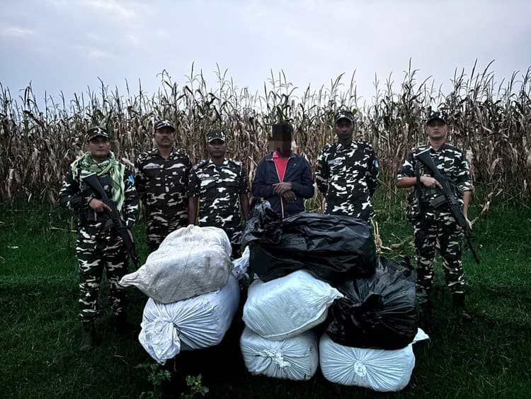 भारत-नेपाल सीमा पर एसएसबी की कार्रवाई, 228 किलो गांजा व नेपाली शराब बरामद
