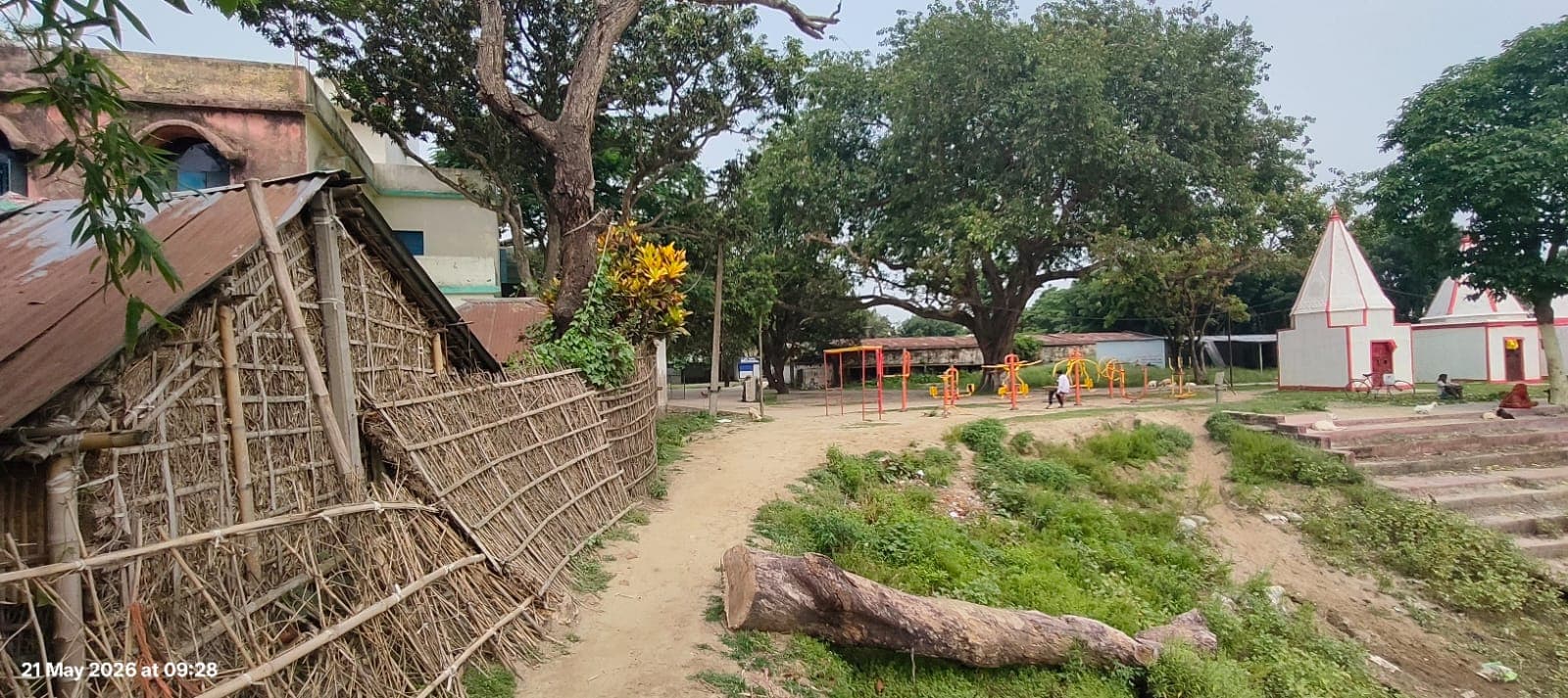 सरकारी जमीन कब्जा और पेड़ कटाई पर कार्रवाई की मांग
