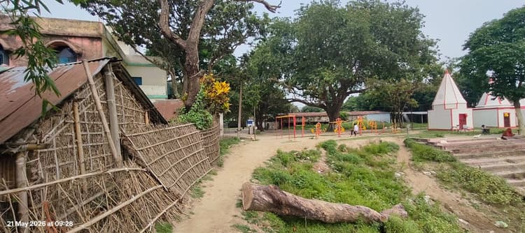 सरकारी जमीन कब्जा और पेड़ कटाई पर कार्रवाई की मांग