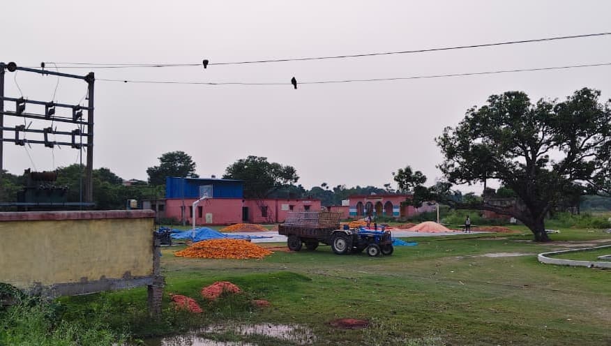 बास्केटबॉल कोर्ट बना मक्का सुखाने का मैदान