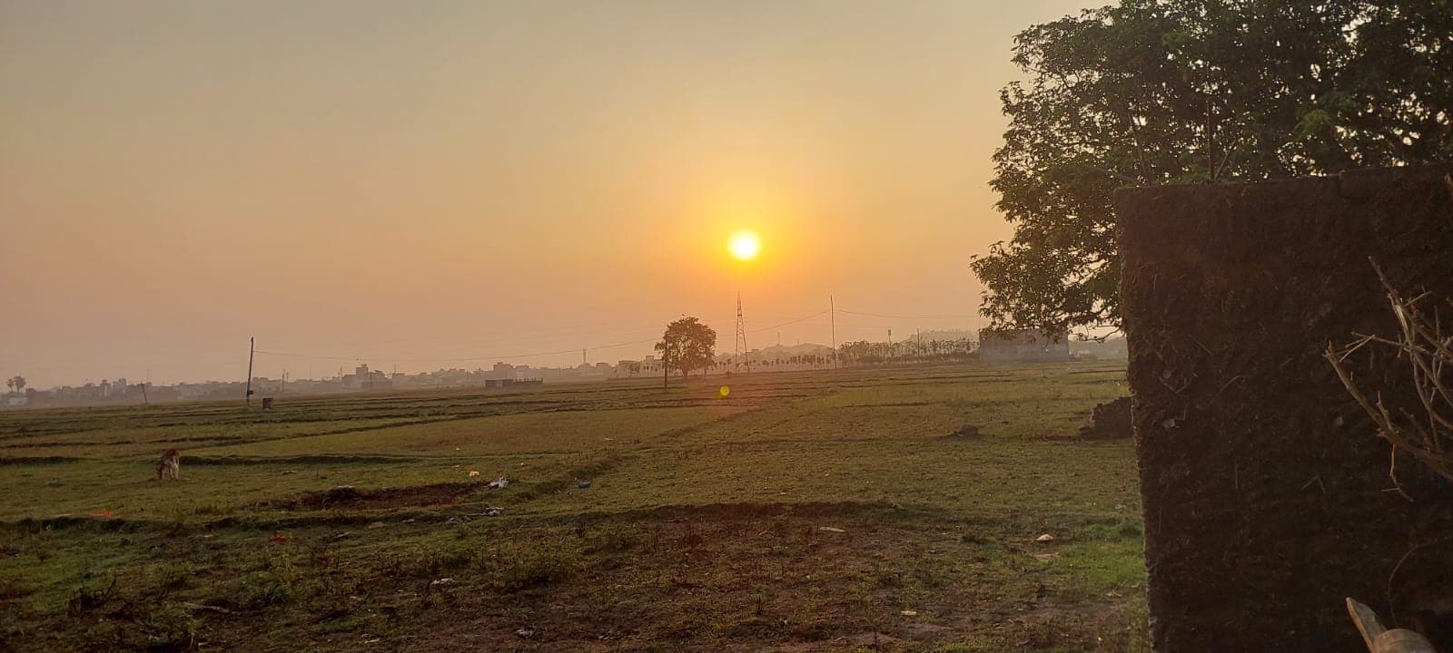 आज फिर बदलेगा मौसम का मिजाज, दोपहर में बारिश और गर्जना के आसार