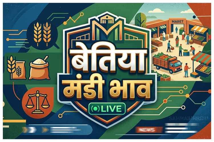 बेतिया मंडी भाव: दाल-मसालों में स्थिरता, अनाज के रेट सामान्य