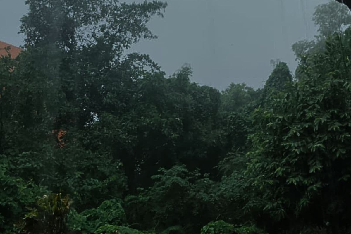 बिहार में तेज आंधी और झमाझम बारिश से दिन में ही छाया अंधेरा, IMD ने 8 जिलों में अगले 3 घंटे के लिए जारी की चेतावनी