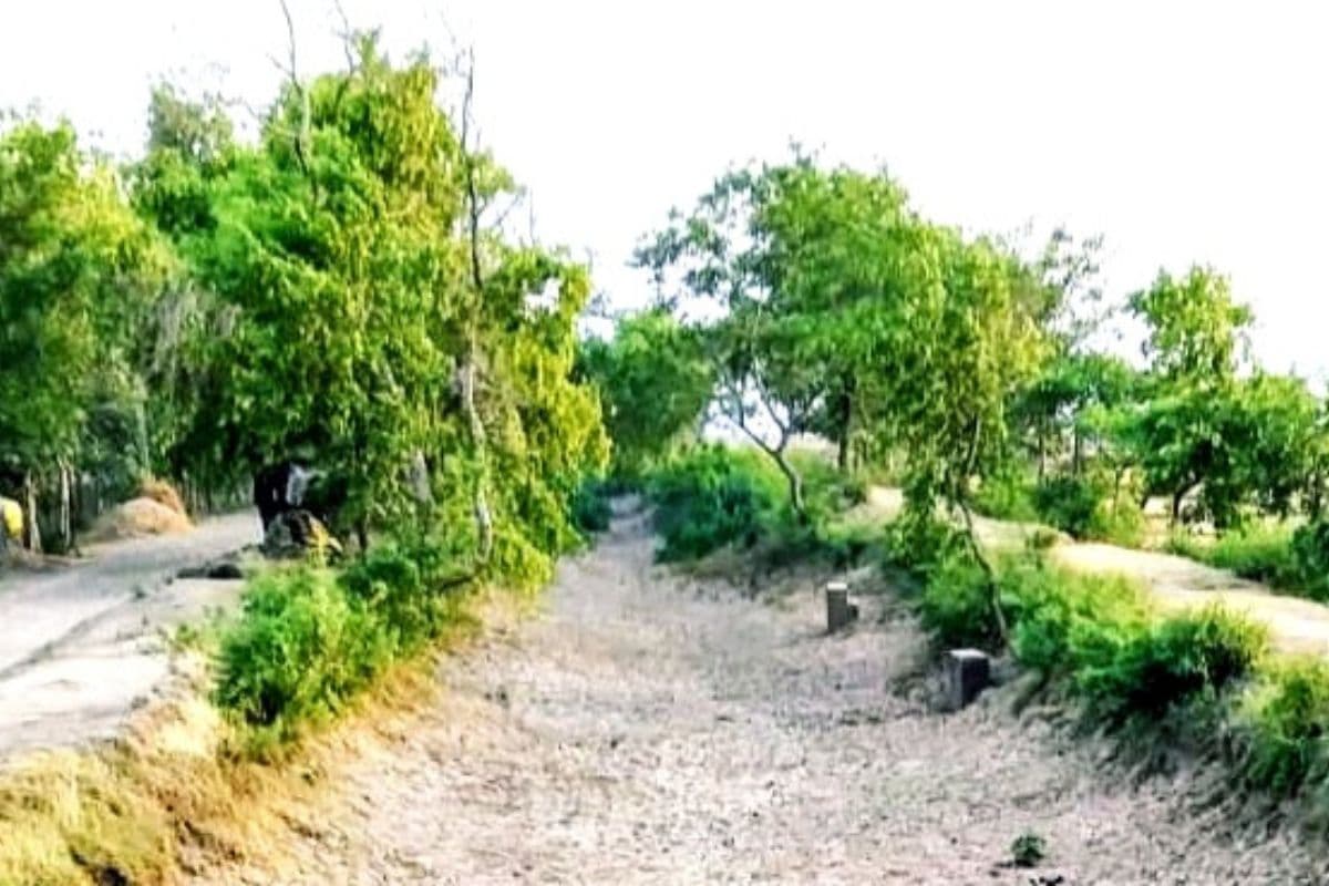 Buxar News: रोहिणी नक्षत्र शुरू, नहरों में पानी नहीं, धान की खेती पर संकट