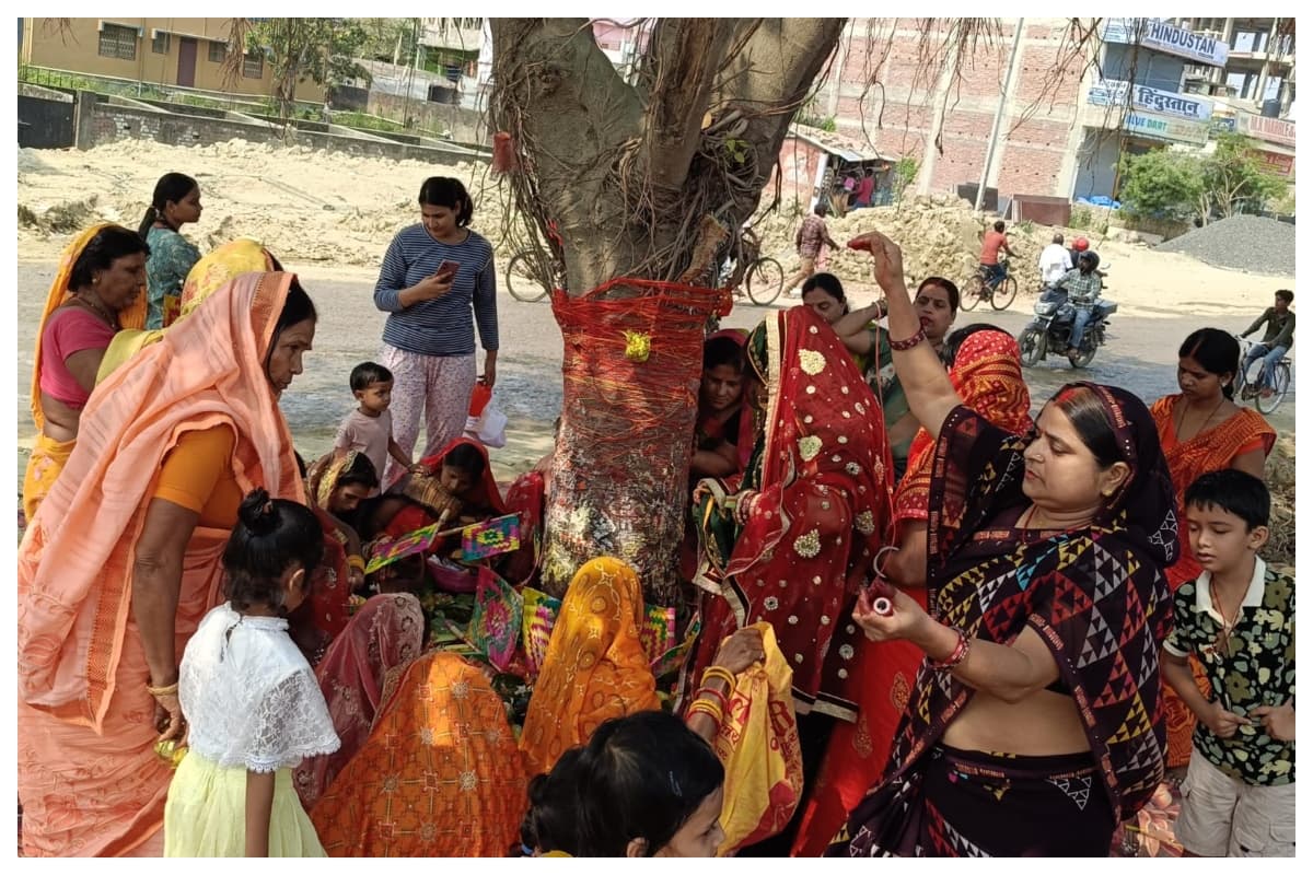 Darbhanga: सुहागिन महिलाओं ने पति की लंबी उम्र के लिए किया वट सावित्री व्रत