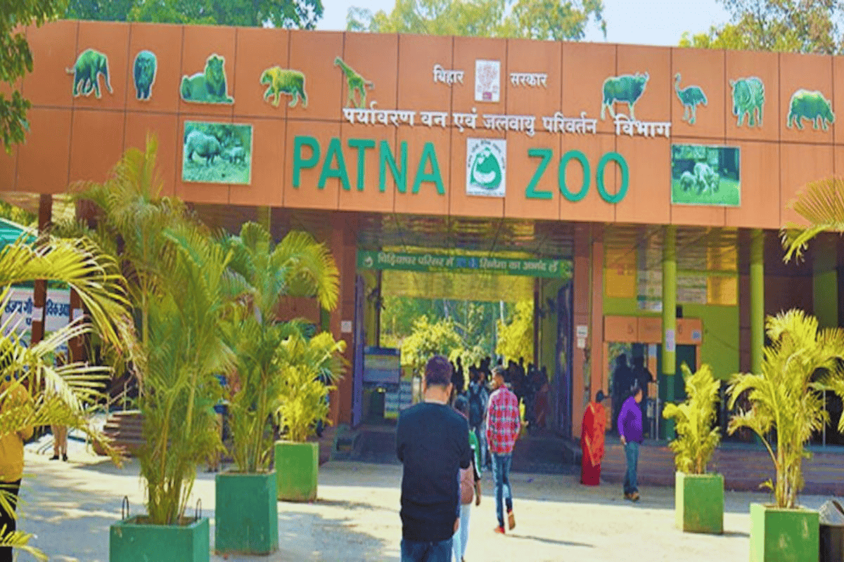 पटना जू में बढ़ेगा रोमांच, सफेद बाघिन के साथ आए कई नए मेहमान
