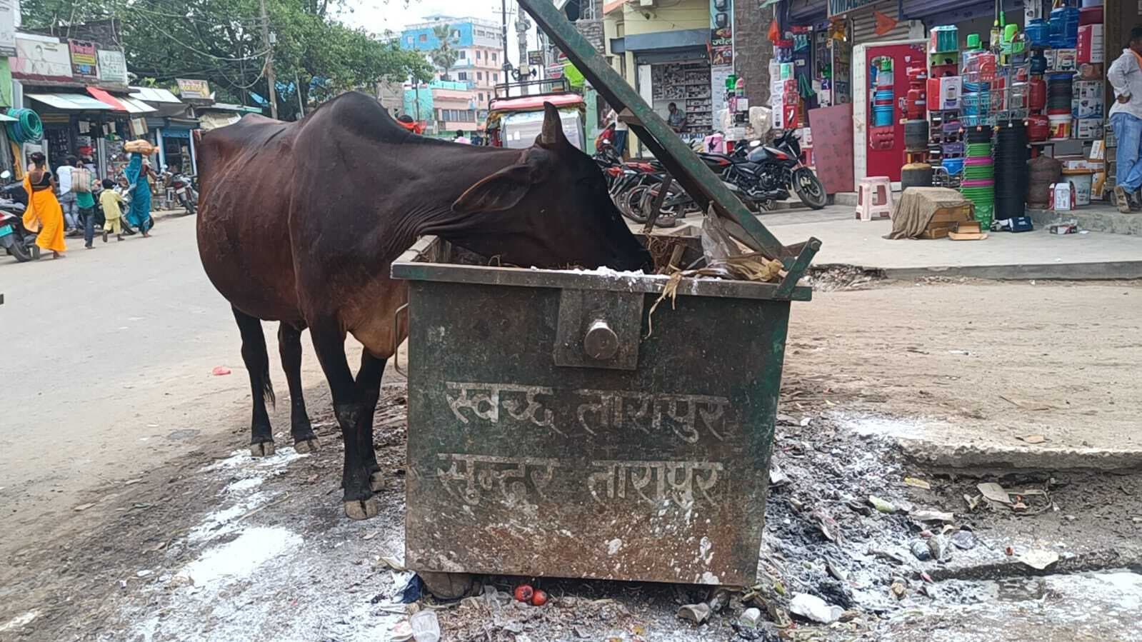 Munger, प्लास्टिक के कचरे को पशु बना रहे अपना भोजन