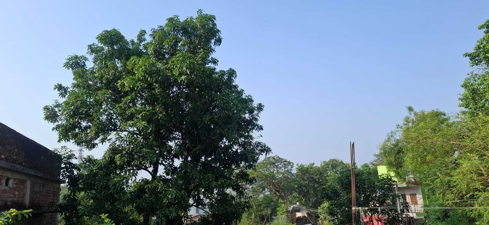 PURNIA मौसम ने बदला करवट, बादलों के बीच से निकली धूप