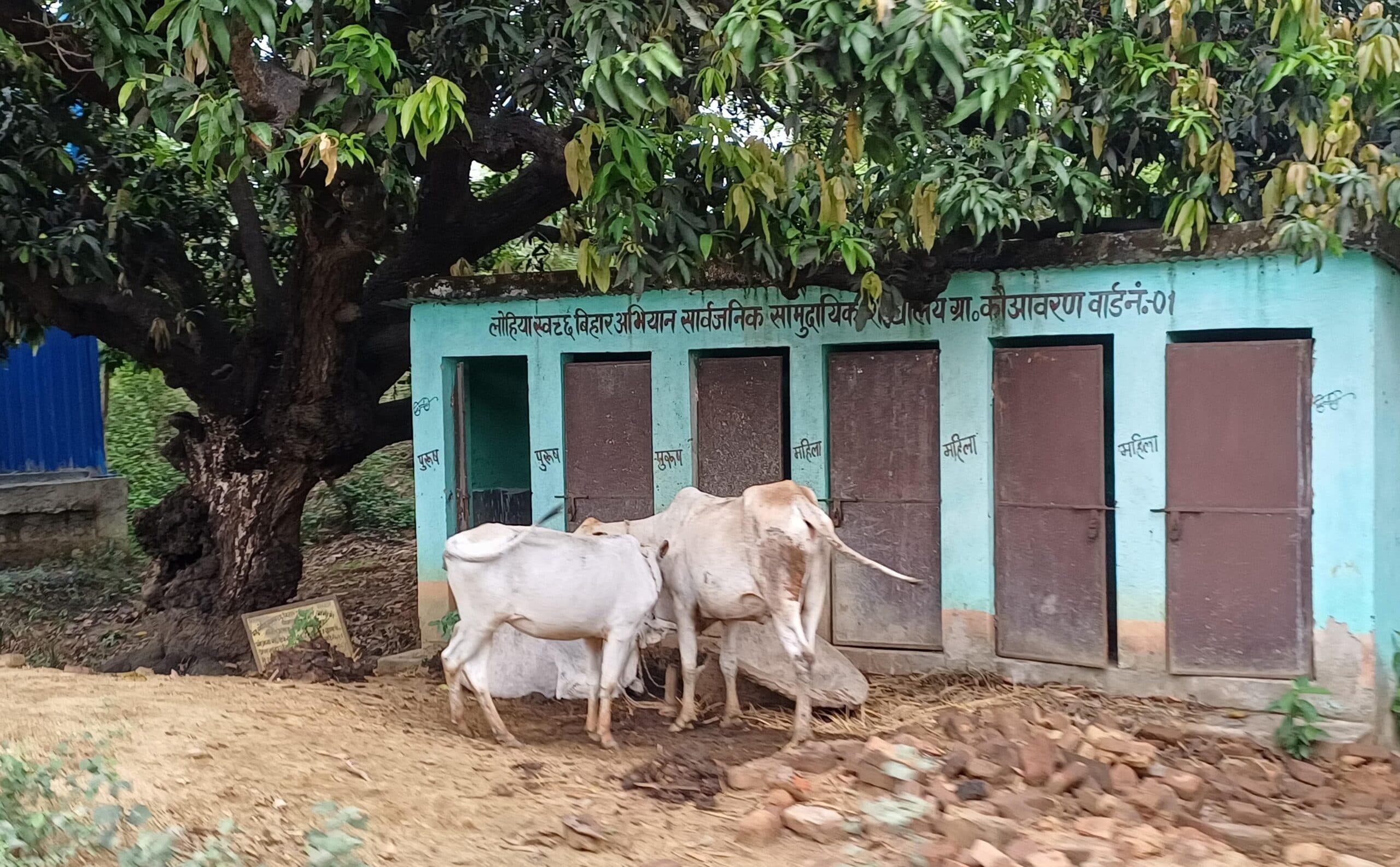 BANKA NEWS : लाखों खर्च कर बना सामुदायिक शौचालय बना शो पीस