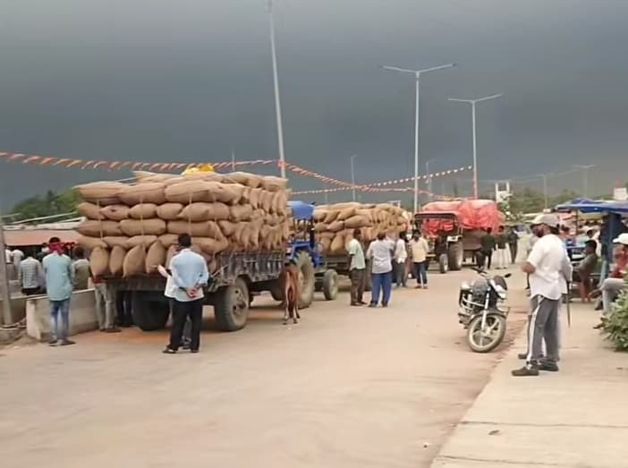 मक्का के रेट में आयी तेजी से बढ़ गई पूर्णिया के किसानों के चेहरे की रौनक