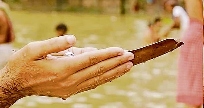 ARARIA मंदिरों में आज का दर्शन