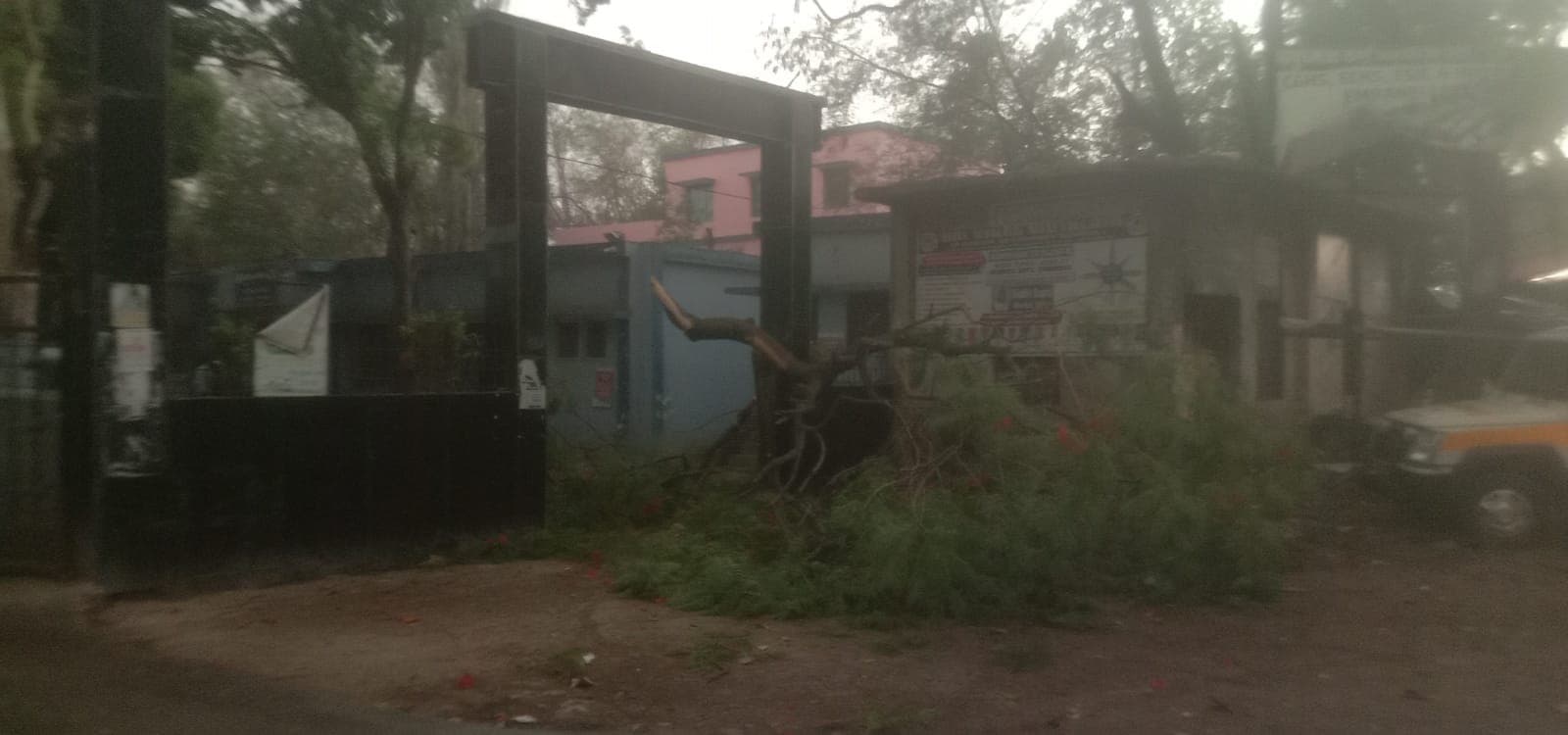 तेज आंधी से गिरी पेड़ की डाली, आवागमन रुका