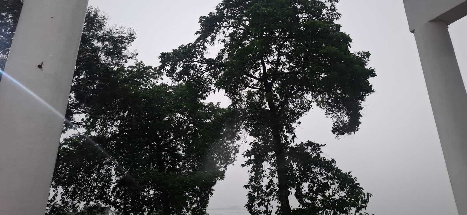PURNIA सावधान, पूर्णिया शाम सात बजे से पहले आंधी व बारिश के आसार, ऑरेंज अलर्ट