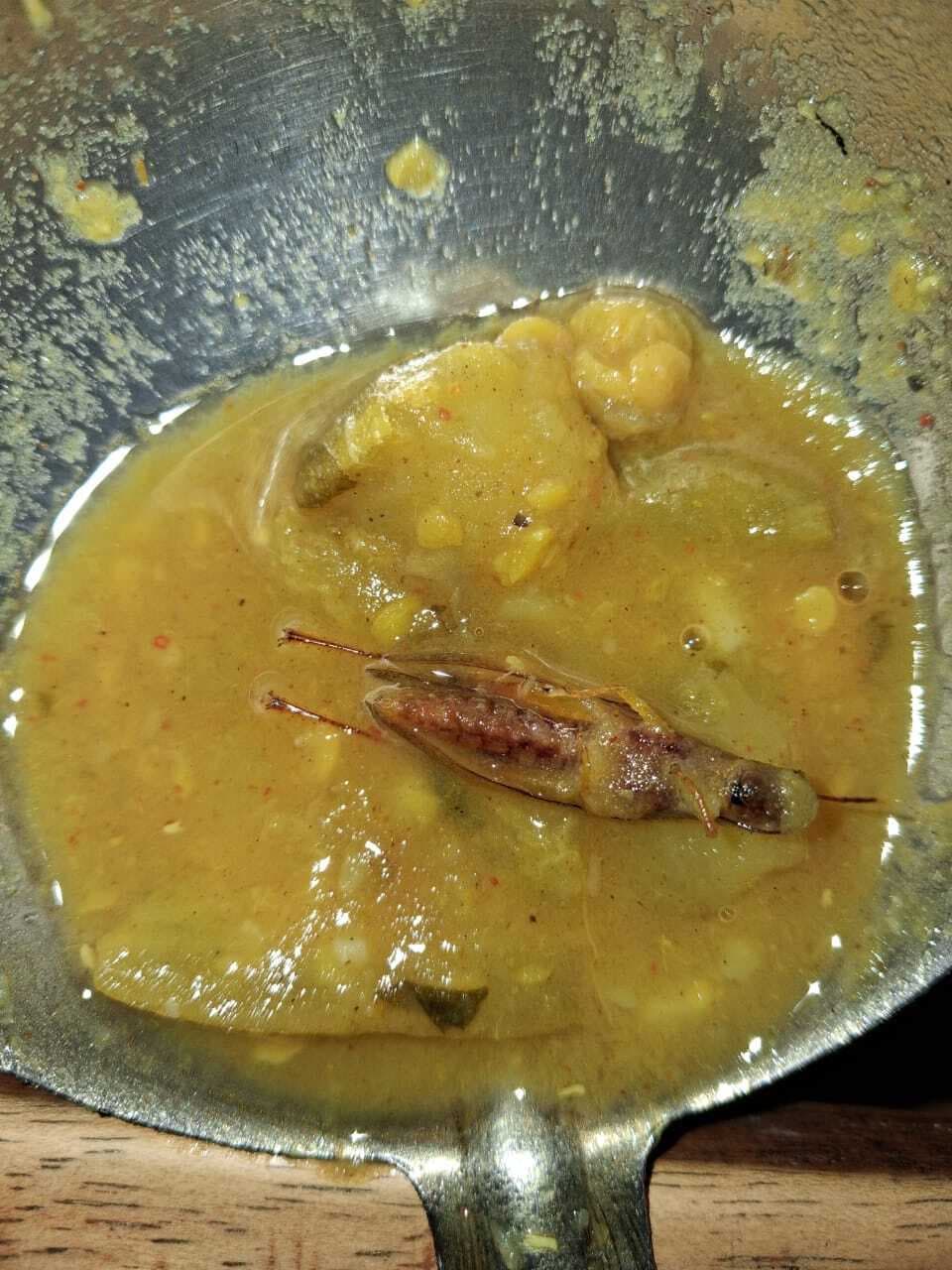 सरकारी स्कूल में एनजीओ से आये भोजन में मिला कीड़ा, हंगामा