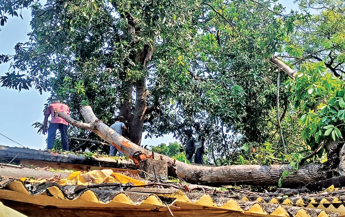 Rourkela News: स्मार्ट सिटी में तेज हवा के साथ हुई झमाझम बारिश, उमस व गर्मी से मिली राहत