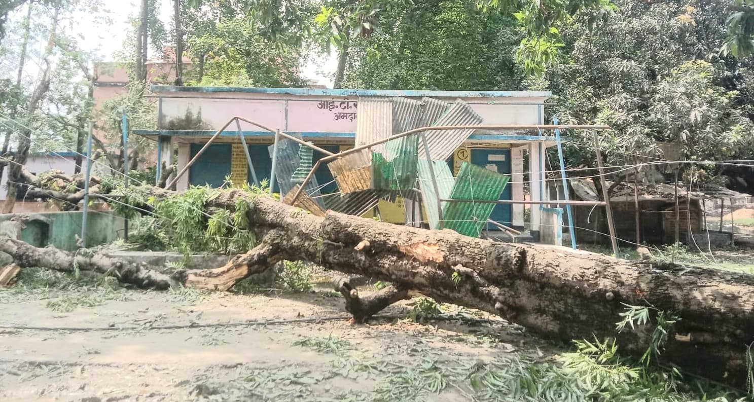 तेज आंधी बारिश से कई पेड़ गिरे, फूंस के घर को नुकसान पहुंचा