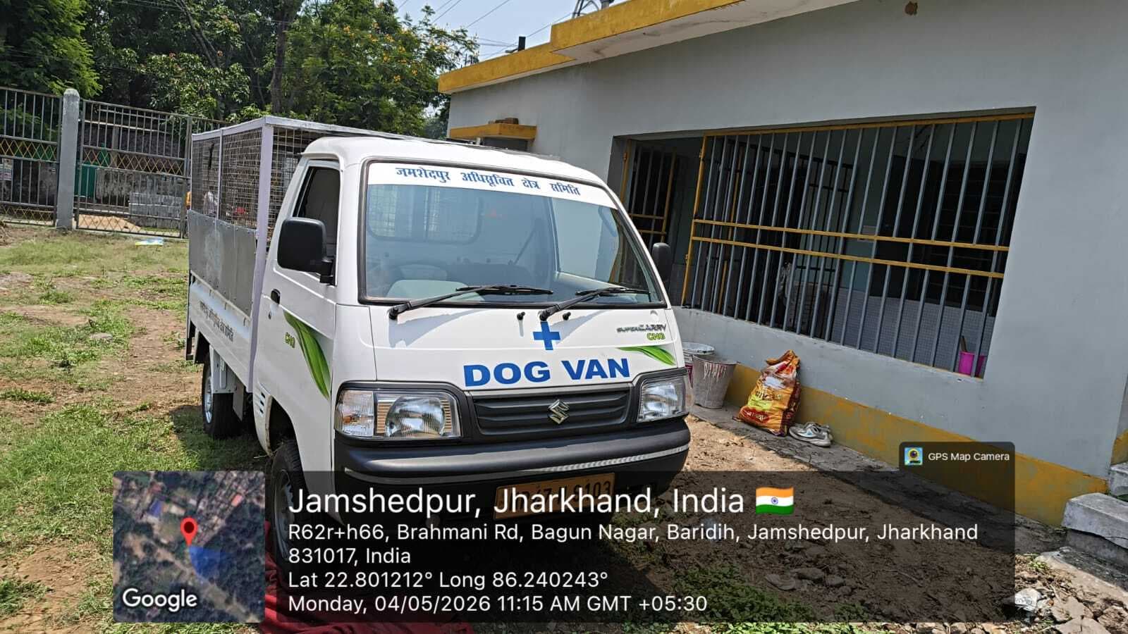 00 शहर में आवारा कुत्तों की नसबंदी व टीकाकरण अभियान जल्द होगा शुरू