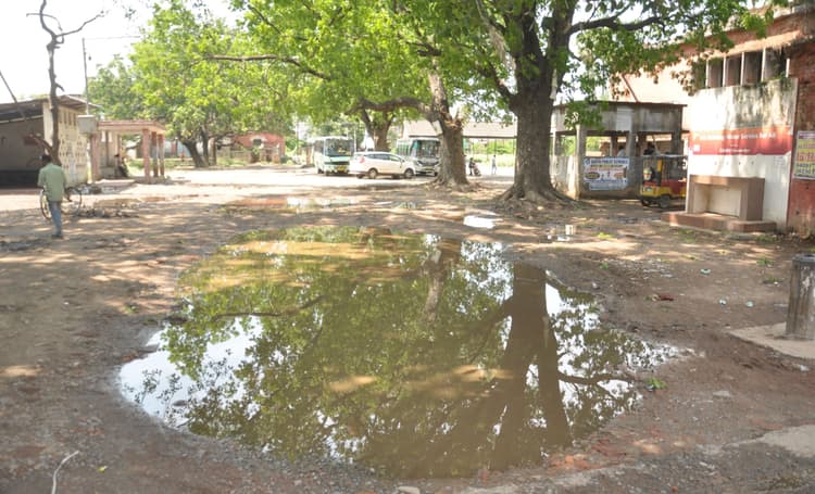 BHAGALPUR नवगछिया से पूर्णिया व जोगबनी के लिए दो बसों का परिचालन शुरू