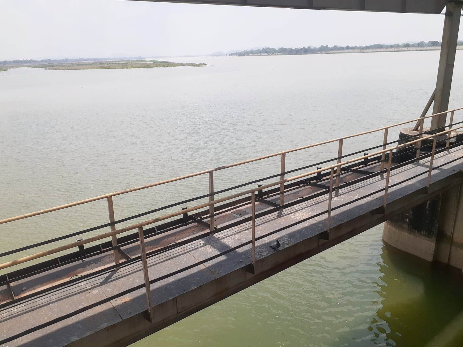 झारखंड की मूसलाधार बारिश से कोयल नदी में दिखने लगा पानी