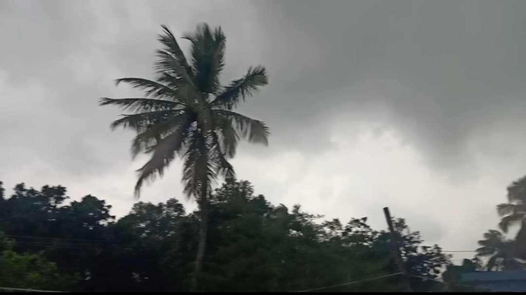बेमौसम बारिश से मक्का व मूंग की फसलों को भारी नुकसान