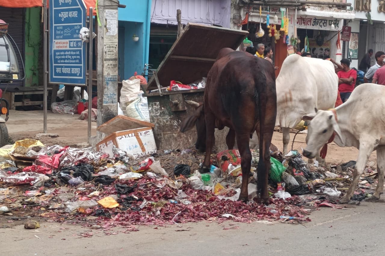 सफाईकर्मियों की हड़ताल से नगर क्षेत्र में कूड़े का अंबार