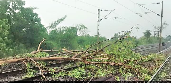 Rourkela News: आंधी-बारिश में बंडामुंडा में ज्वाइंट लाइन पर गिरा पेड़, ट्रेनों की आवाजाही रही बाधित