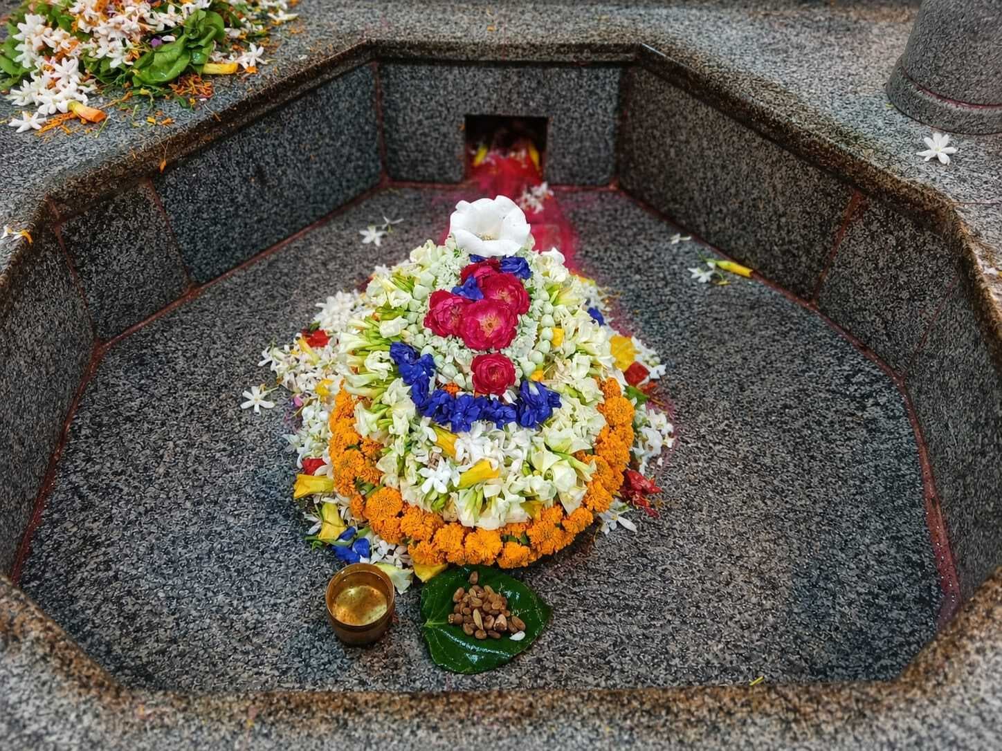 Bhagalpur. बाबा बूढ़ानाथ मंदिर में वैदिक मंत्रोच्चारण के साथ हुई सरकारी पूजा