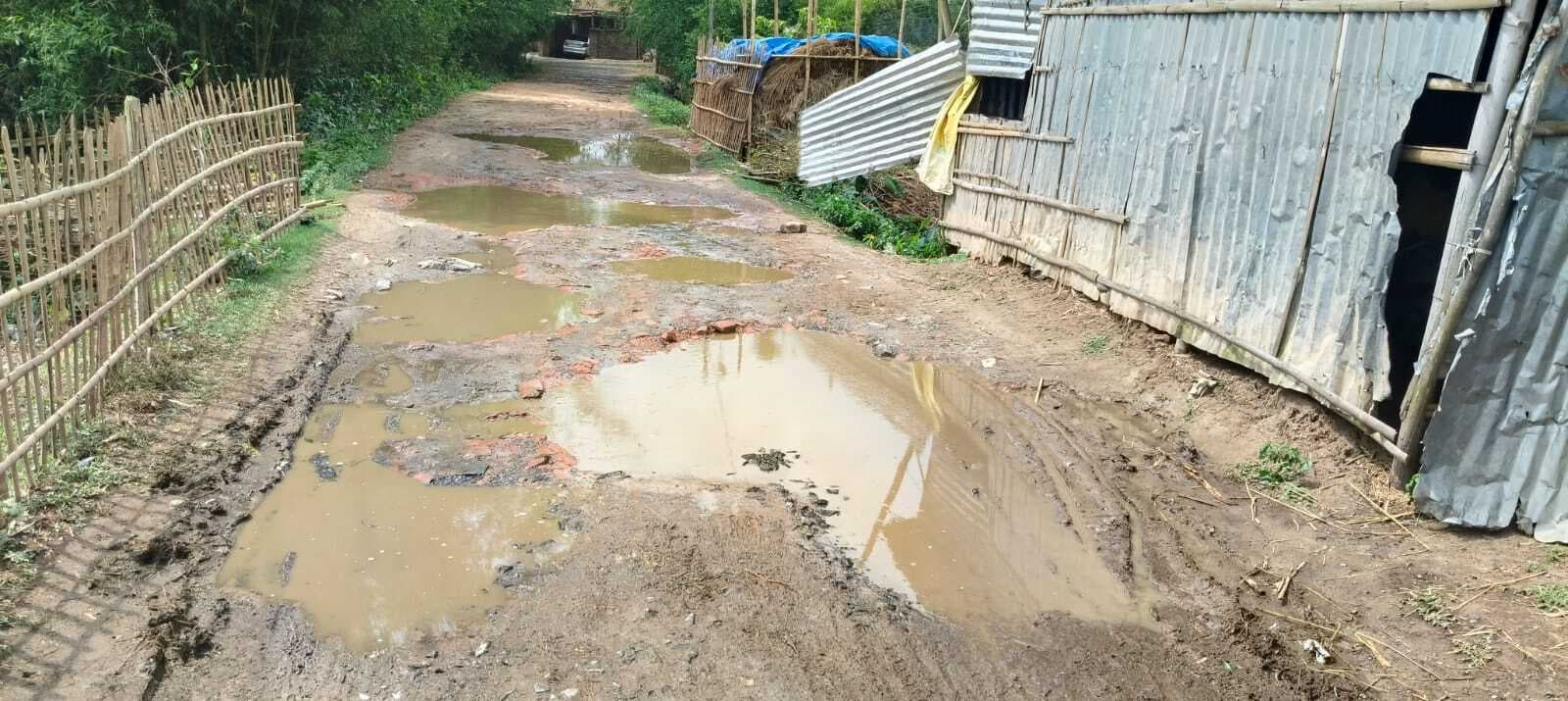 गड्डेनुमा सड़क पर जलजमाव से आवागमन में परेशानी