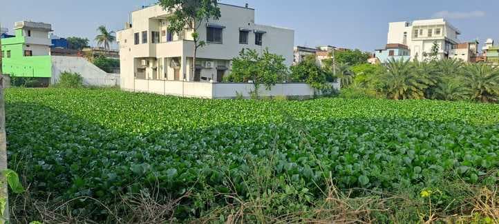 गोड्डा के ऐतिहासिक कोलरा बांध की बदहाली, स्थानीय निवासियों में नाराजगी