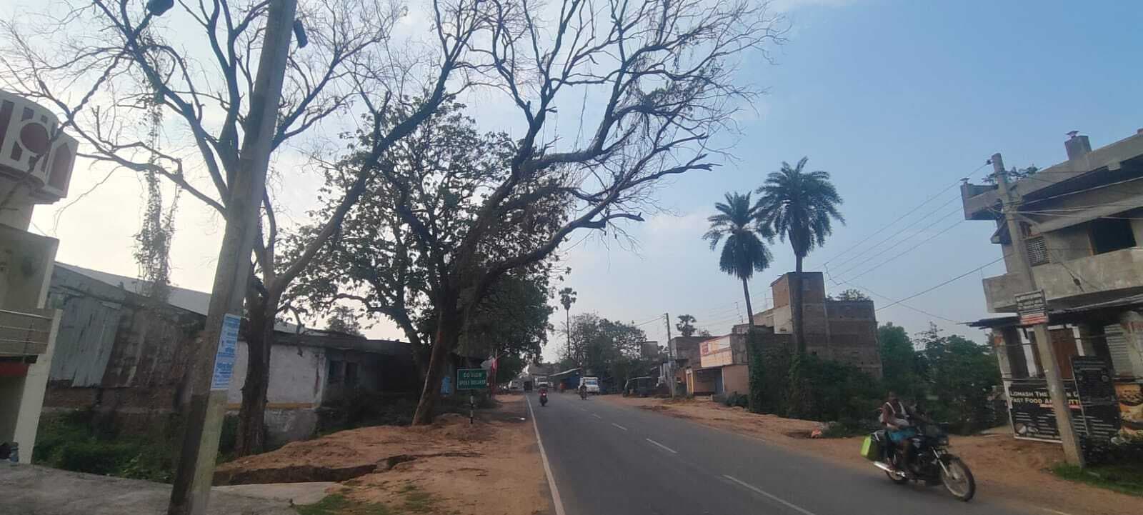 BANKA : सड़क किनारे खड़े सूखे पेड़ दे रहे हादसे को आमंत्रण