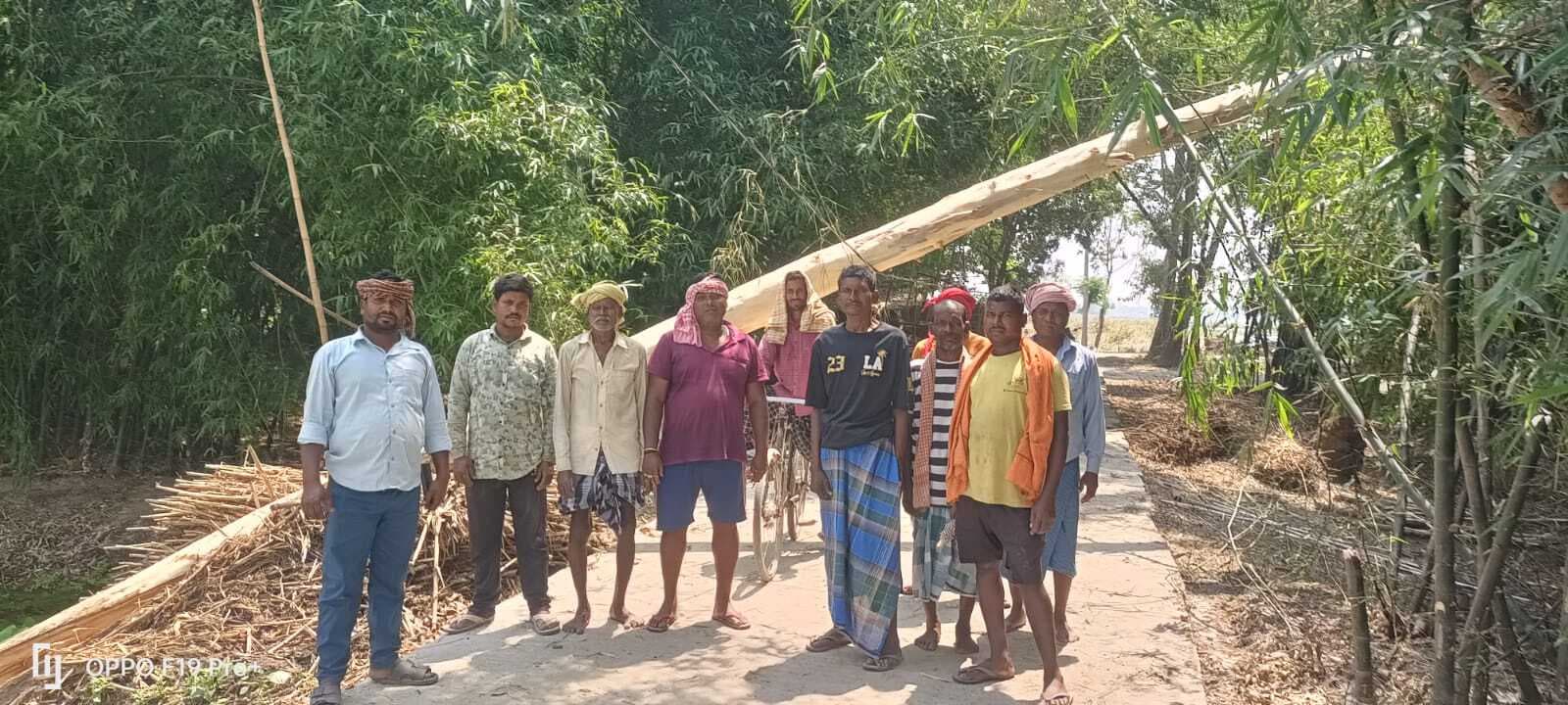 तेज आंधी में बिजली तार पर पेड़ गिरने से सैकड़ों एकड़ में सिंचाई ठप