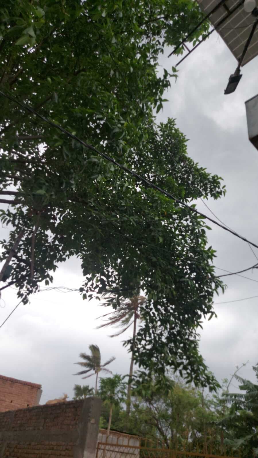 BANKA : दोपहर बाद मौसम बदला, आंधी व बारिश से मौसम सुहाना
