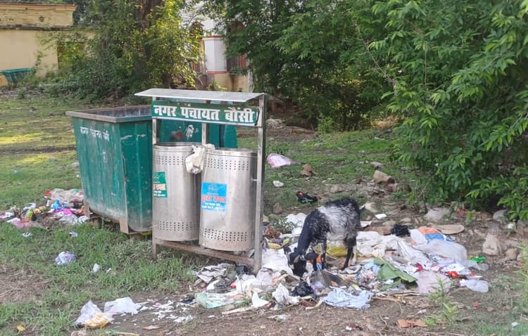 BANKA : डस्टबिन लगा है, फिर भी सड़क पर कचरा