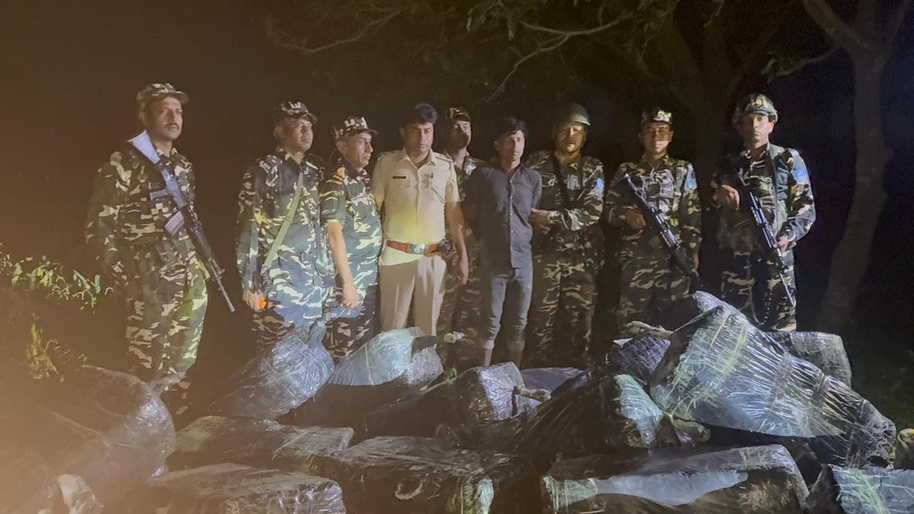 अररिया में एसएसबी व सिकटी पुलिस की संयुक्त कार्रवाई में 630 किलो गंजा जब्त, एक गिरफ्तार