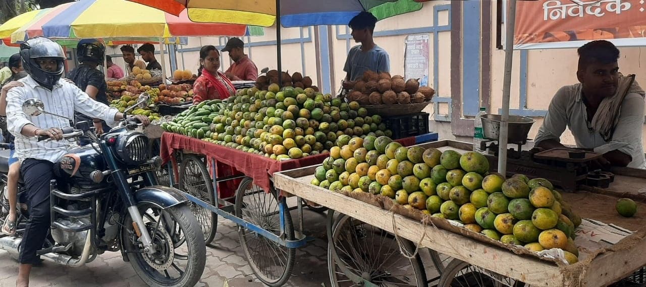 वट सावित्री को लेकर फलों के बढ़े भाव, लीची 300 रुपये पार