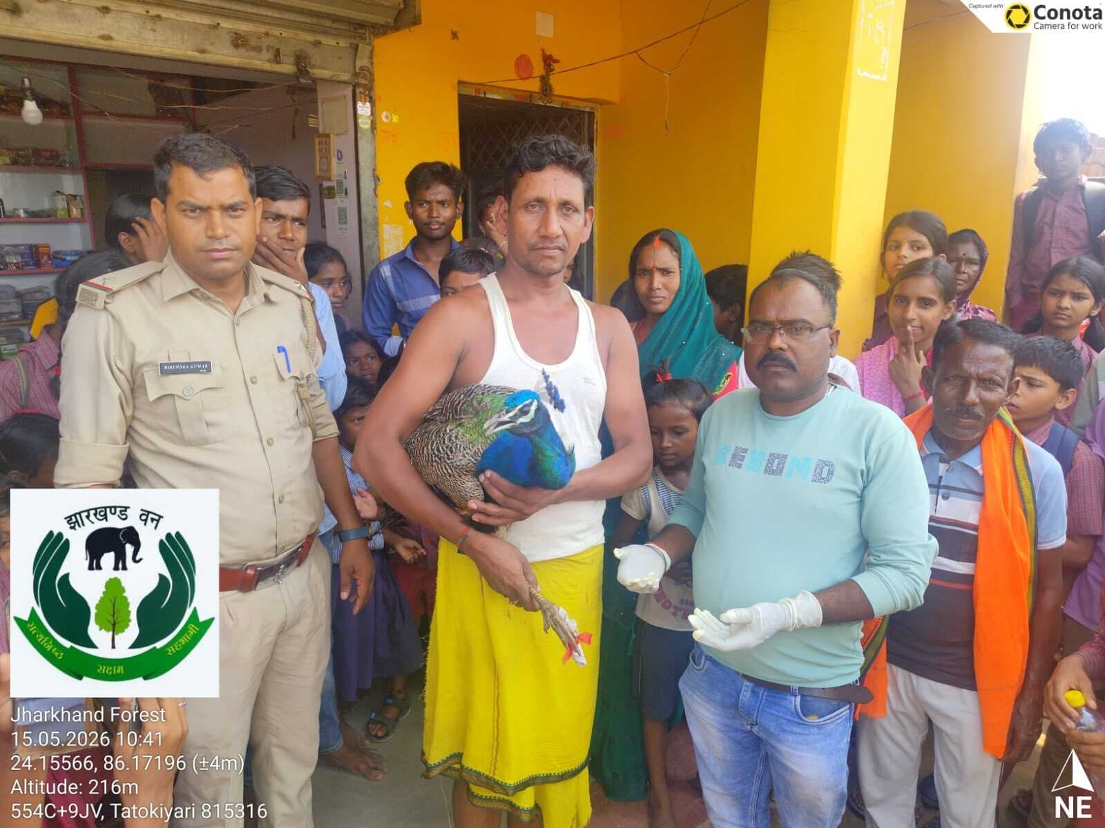 Giridih News :घायल मोर का किया गया रेस्क्यू, वन विभाग ने कराया इलाज