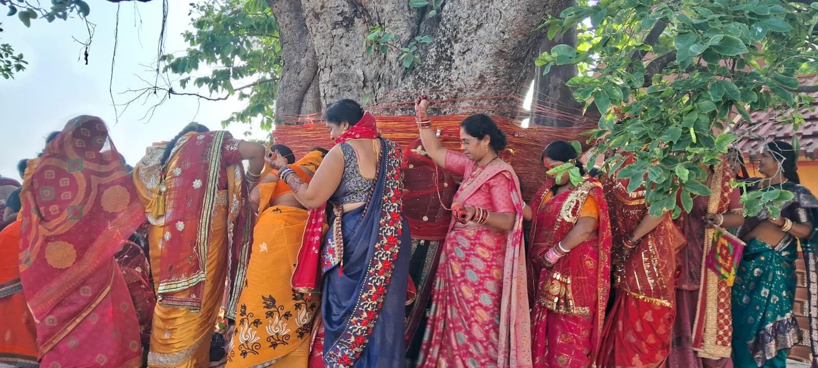 सुहागिनों ने वट-सावित्री की कथा सुनी, पति की दीर्घायु की कामना