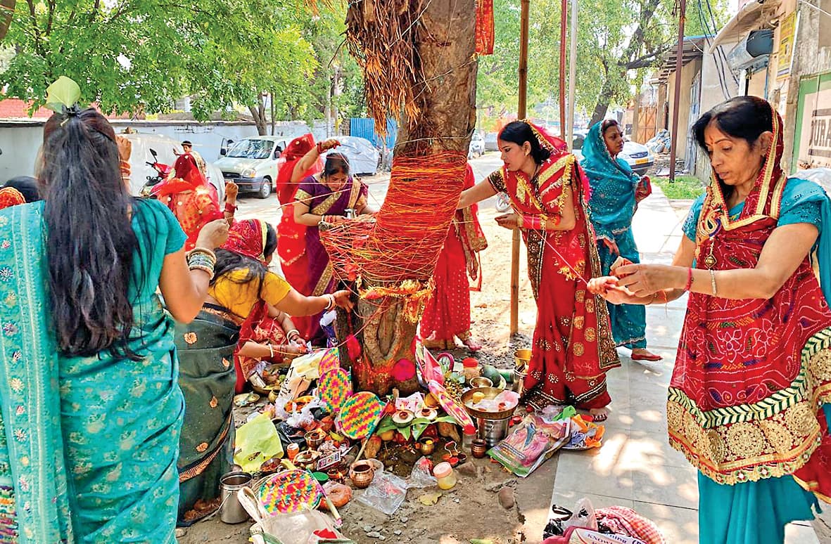 Rourkela News: वट वृक्ष की पूजा कर सुहागिनों ने पति की लंबी आयु व सुख-समृद्धि मांगी
