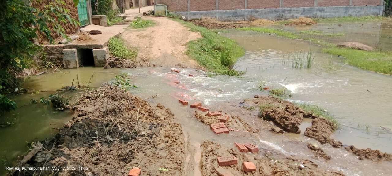 बड़ुआ नदी पर निर्माणाधीन बियर बना किसानों के लिए आफत, सैकड़ों बीघा फसल पानी में डूबी