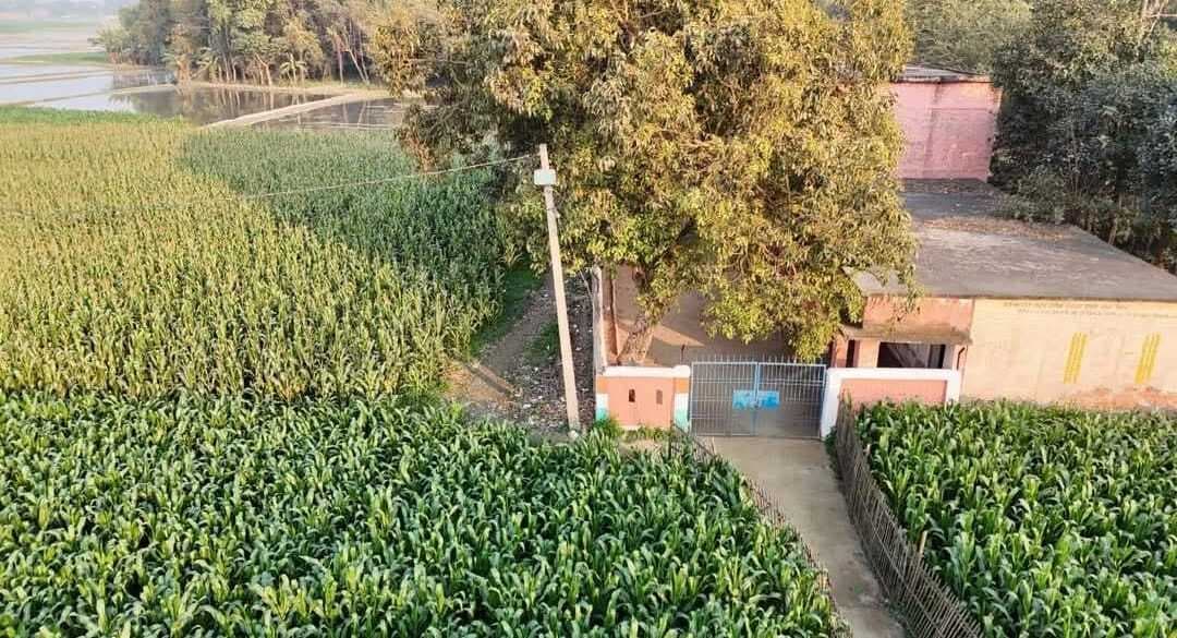 गेड़ाबाड़ी बस्ती विद्यालय तक पहुंचने के लिए सड़क तक नहीं